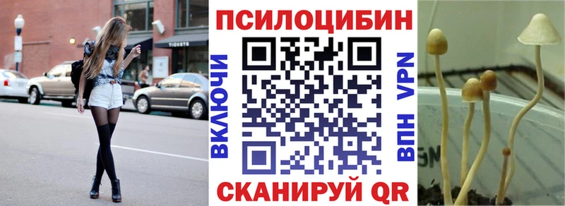 Купить где Заводоуковск Галлюциногенные грибы GOLDEN TEACHER